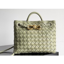 Bottega Veneta Intrecciato leather Small Andiamo top handle Bag Light Green
