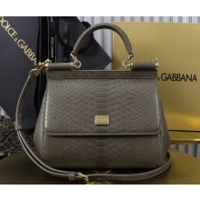 Dolce & Gabbana Medium Sicily handbag snake skin grey 2024