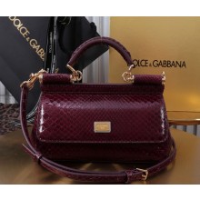 Dolce & Gabbana small Sicily handbag snake skin burgundy 2024