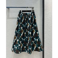 DIOR green Multicolor Cotton and Silk Poplin with Dior Roses Motif Flared Mid-Length Skirt 2023