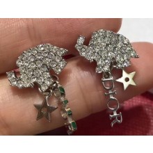 Dior Earrings 140 2019