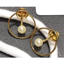 Dior Earrings 139 2019