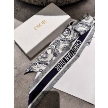 DIOR Mitzah Scarf 6x105cm 250306 02 2025