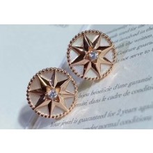 Dior Earrings 21 2020