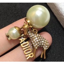 Dior Earrings 08 2020