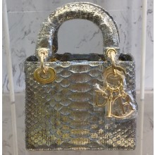 Lady Dior Python Mini Bag 20