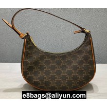 Celine Ava Bag in Triomphe Canvas Brown 2020