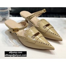 Dior Heel 4cm Boy-D Mules in Perforated Gradient Calfskin Beige 2020