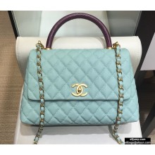 Chanel Coco Handle Medium Flap Bag Light Green/Burgundy with Lizard Top Handle A92991 Top Quality 7148