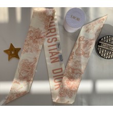 Dior Silk Twill Mitzah Scarf 6x106cm 20 2020