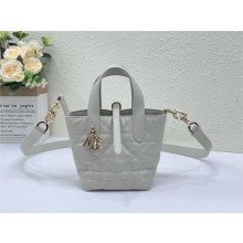Dior Toujours Vertical Nano Tote Bag in WHITE Macrocannage Calfskin 2025