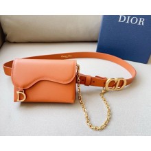 Dior Width 2cm Pouch Belt with Chain in Smooth Calfskin Brown-01 2024