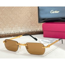 Cartier Sunglasses CT0499S-01 2025