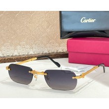 Cartier Sunglasses CT0499S-02 2025