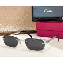 Cartier Sunglasses CT0499S-03 2025
