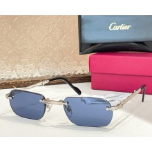 Cartier Sunglasses CT0499S-04 2025