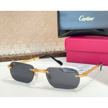 Cartier Sunglasses CT0499S-05 2025