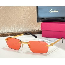 Cartier Sunglasses CT0499S-06 2025