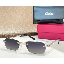 Cartier Sunglasses CT0499S-07 2025