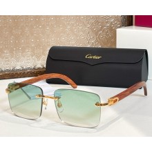 Cartier Sunglasses CT0012-02 2025