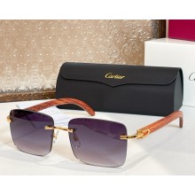 Cartier Sunglasses CT0012-03 2025