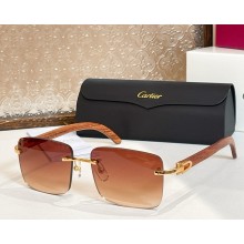 Cartier Sunglasses CT0012-04 2025