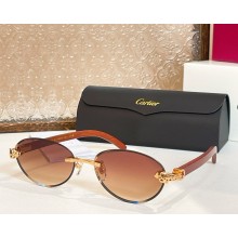 Cartier Sunglasses CT0615S-05 2025
