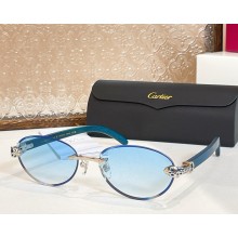 Cartier Sunglasses CT0615S-06 2025