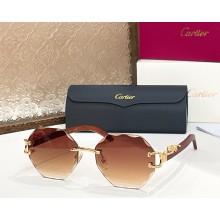 Cartier Sunglasses CT0558S-01 2025