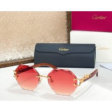 Cartier Sunglasses CT0558S-02 2025