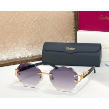 Cartier Sunglasses CT0558S-04 2025