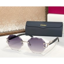 Cartier Sunglasses CT0558S-08 2025