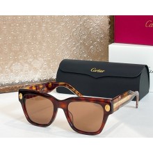 Cartier Sunglasses CT5910-02 2025