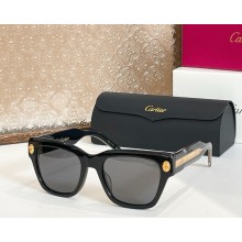 Cartier Sunglasses CT5910-06 2025