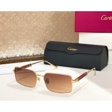 Cartier Sunglasses CT0508S-01 2025