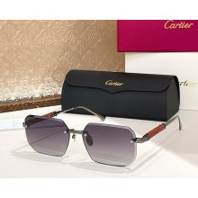 Cartier Sunglasses CT0510S-02 2025