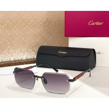 Cartier Sunglasses CT0510S-03 2025