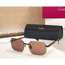 Cartier Sunglasses CT0510S-04 2025