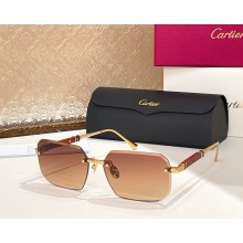 Cartier Sunglasses CT0510S-06 2025