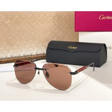 Cartier Sunglasses CT0509S-06 2025