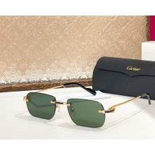 Cartier Sunglasses CT0498S-01 2025