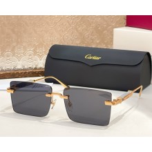 Cartier Sunglasses CT0629S-02 2025