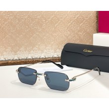 Cartier Sunglasses CT0498S-02 2025