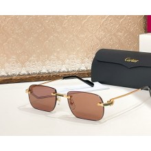 Cartier Sunglasses CT0498S-04 2025