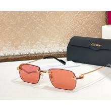 Cartier Sunglasses CT0498S-05 2025
