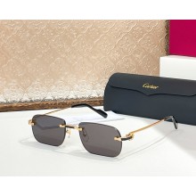 Cartier Sunglasses CT0498S-06 2025