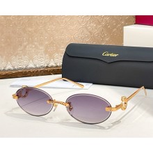 Cartier Sunglasses CT0654S-02 2025