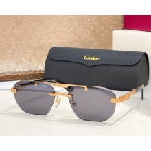 Cartier Sunglasses CT0616S-02 2025