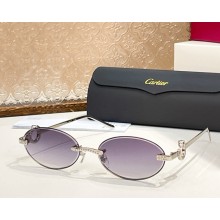 Cartier Sunglasses CT0654S-07 2025