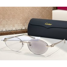 Cartier Sunglasses CT0504S-02 2025
